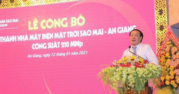 Trước thềm Đại hội 2023, Tập đoàn Sao Mai và công ty con IDI muốn “dàn xếp” lại thượng tầng