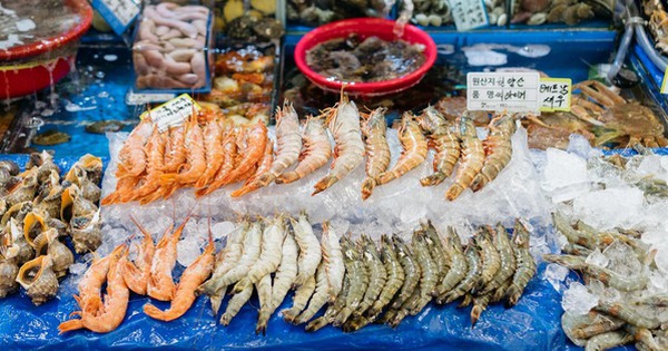 Có cách nào tìm kiếm thông tin về cô gái Hàn Quốc ưa thích ăn hải sản trên internet không?