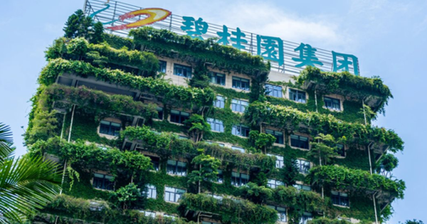 Tập đoàn bất động sản hàng đầu Trung Quốc ‘đổi chủ’, người lên nắm quyền là nữ tỷ phú từng giàu nhất châu Á