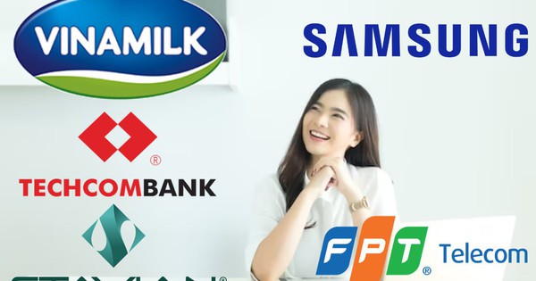 FPT Telecom, Vinamilk và Techcombank lot top nhà tuyển dụng được yêu thích nhất 2022: Nhân viên công ty được hưởng đãi ngộ 