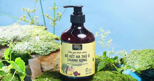 Dầu gội bồ kết hà thủ ô chanh gừng có tác dụng kích thích mọc tóc không?
