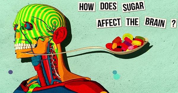 how-does-sugar-affect-the-brain-thuvienpc