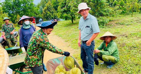 Bầu Đức và 1.200ha sầu riêng: 1 đồng vốn 5 đồng lời, nếu xưa có “cò đất” thì nay nhan nhản “cò sầu riêng”