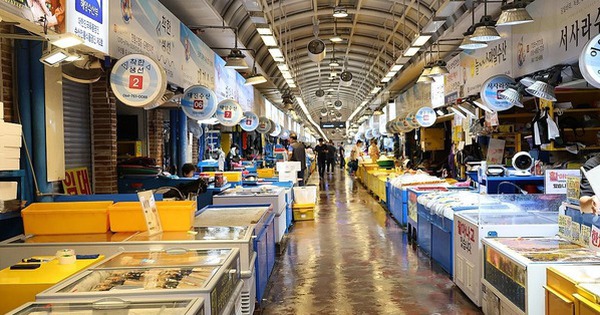 日本が核廃水を捨てているため、水産物貿易は新型コロナウイルス感染症流行時よりもさらに暗い見通しだ