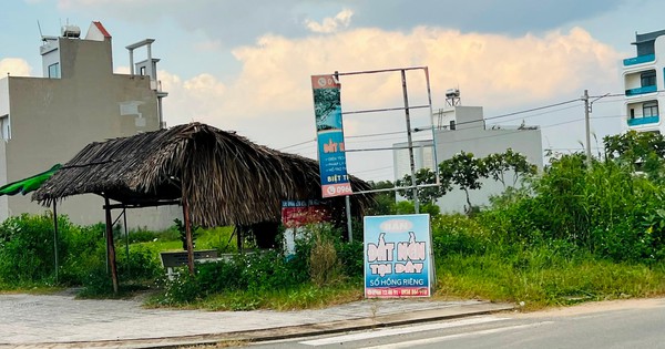 m.cafef.vn