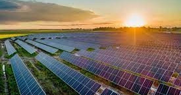 Licogi 13, Halcom, Tập đoàn Sao Mai... bị tỉnh Hậu Giang bãi bỏ chủ trương đầu tư các dự án điện mặt trời