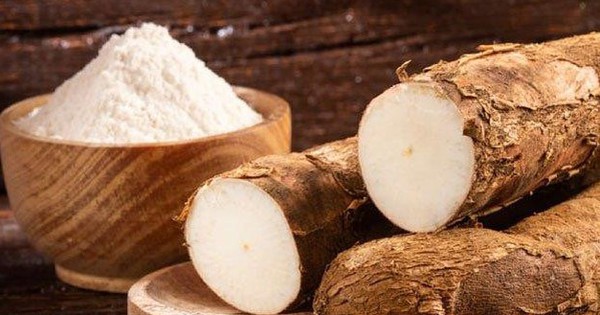 Doanh nghiệp sản xuất tinh bột sắn lớn nhất Việt Nam sắp tạm ứng cổ tức tỷ lệ 20% bằng tiền mặt