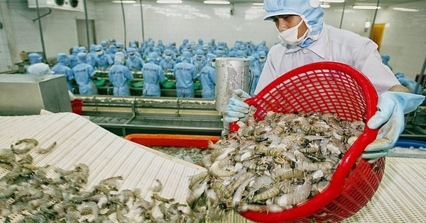 "Cựu đại gia" thuỷ sản miền Tây vốn nghìn tỷ bị ngân hàng rao bán tài sản