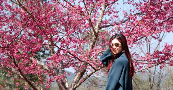 Những điểm du lịch hot nhất dịp Tết năm nay