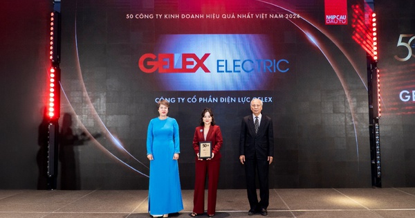 2 công ty con của GELEX vào Top 50 Công ty kinh doanh hiệu quả nhất Việt Nam 2024