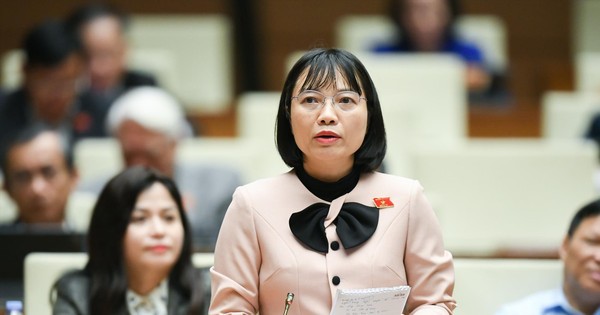 Đại biểu Quốc hội Nguyễn Thị Việt Nga: Đánh giá mức độ hoàn thành nhiệm ...