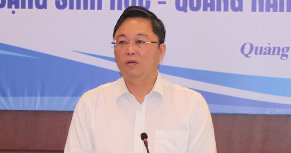 Chủ tịch UBND tỉnh Quảng Nam nêu quan điểm về Tập đoàn Trường Hải