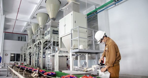 Hóa chất Đức Giang (DGC) lên kế hoạch lợi nhuận 2024 giảm, muốn sáp nhập PAT vào tập đoàn