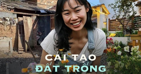 Khoảng sân đổ nát rộng 80m2 được "biến hình" thành khu vườn hệt như truyện cổ tích của Hayao Miyazaki, mang lại cảm giác trọn vẹn và đủ đầy