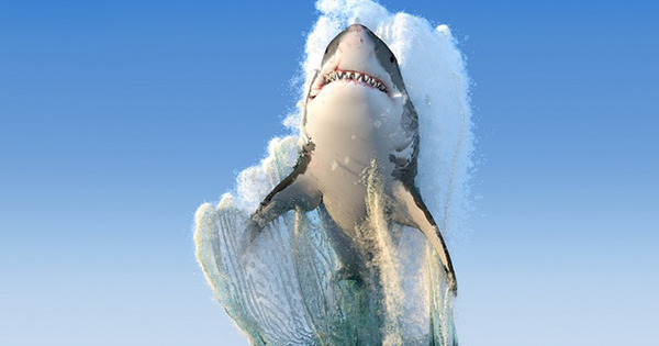 Khối ngoại bất ngờ đảo chiều mua ròng sau 16 phiên "xả" kịch liệt, cổ phiếu nào là tâm điểm?