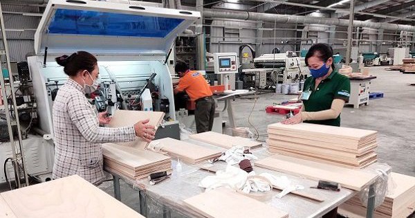 Gỗ Trường Thành được ngân hàng xoá nợ