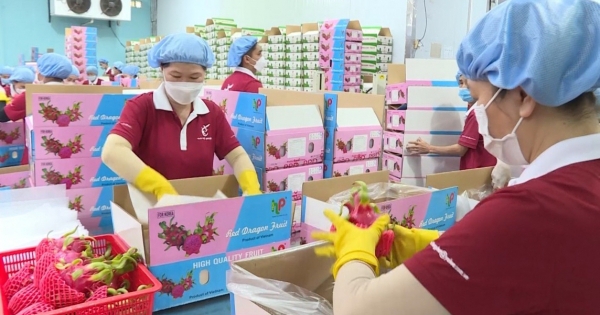 Doanh nghiệp rau quả bước vào “cuộc chiến" gay gắt