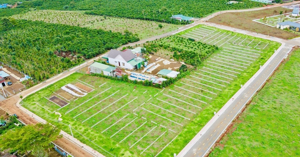 Lâm Đồng yêu cầu rà soát các dự án phân lô, bán nền tại "điểm nóng" TP. Đà Lạt và Bảo Lộc