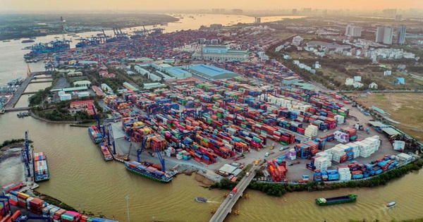 Công ty đứng sau cảng container lớn nhất Việt Nam - nơi 5 DN hồ tiêu kêu bị "rút ruột": 7 thành viên có mặt trên sàn chứng khoán