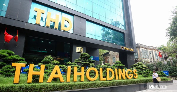 Thaiholdings thoái bớt vốn tại Thaigroup xuống dưới 50%