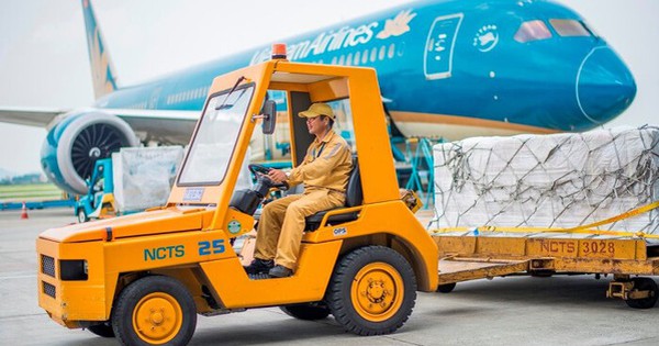 Doanh nghiệp hàng không siêu lợi nhuận sắp chia cổ tức khủng, Vietnam Airlines “vớ bẫm”