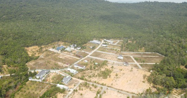 Vụ phân lô bán nền lừa đảo ở Phú Quốc: Có thêm cán bộ kiểm lâm đầu thú