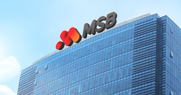 11 cổ đông nắm giữ 35% vốn MSB: Nhiều doanh nghiệp liên quan đến ROX Group