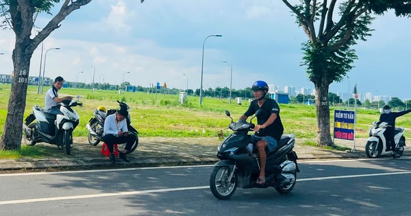 Chuyên gia bất ngờ dự báo về đất nền phân lô cuối năm nay