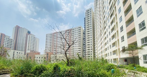 Hàng chục nghìn căn hộ bỏ hoang giữa lúc giá chung cư tăng cao