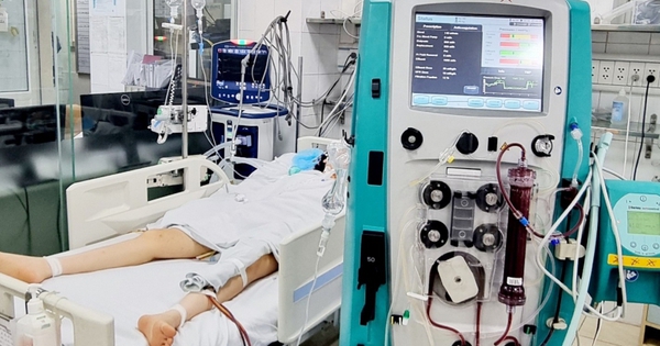 Cô gái trẻ Hà Nội hôn mê sâu, suy đa tạng cấp phải lọc máu sau khi ăn một viên kẹo không rõ thành phần