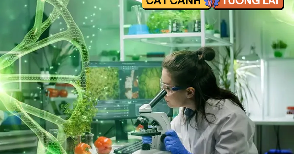 Ngành học siêu hot, dẫn trước xu thế tương lai đang khát 25.000 lao động nhân lực: Điểm chuẩn "dễ thở", ra trường thu nhập tới hàng tỷ đồng/năm