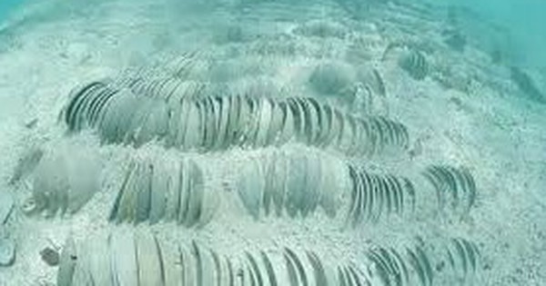 Phát hiện gần 30.000 "vật thể lạ"