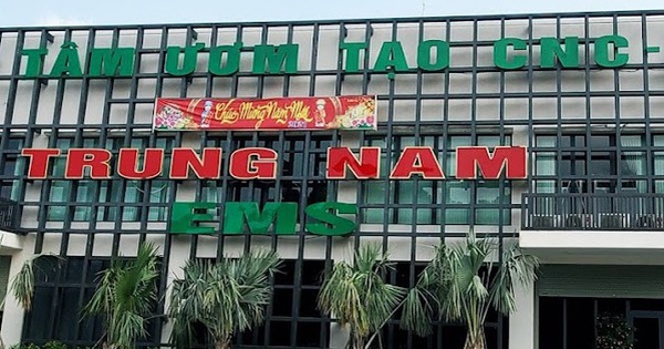 Trungnam EMS nợ thuế 38 tỉ đồng, bị cưỡng chế tài khoản