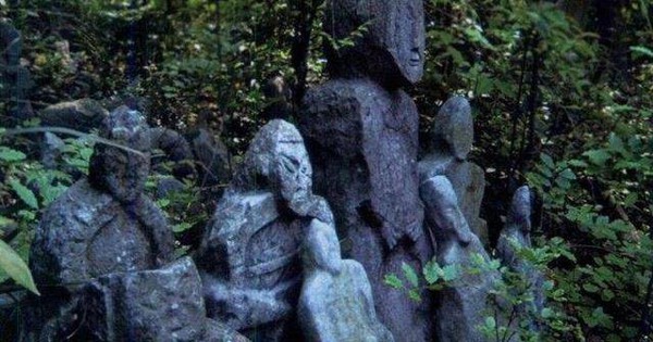 Người nông dân nhìn thấy cảnh tượng kỳ dị khi đang đốn củi, các chuyên gia đề nghị phong tỏa toàn vùng, cấm báo đài đưa tin: Phát hiện sau đó gây ngỡ ngàng