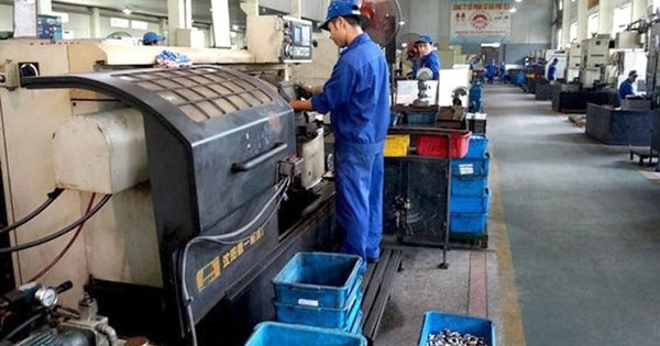 Chân dung doanh nghiệp giá cổ phiếu chỉ bằng cốc trà đá nhưng chia cổ tức khủng, bằng 540% thị giá