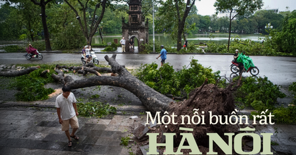 Hà Nội, những ngày cây không còn nữa…