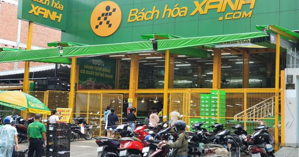 Bách Hóa Xanh tăng tốc: Số lượng cửa hàng mở trong tháng 8 gấp 5 lần của 6 tháng đầu năm, SSI chỉ ra "bí mật" để giảm chi phí vận hành