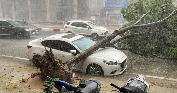 Ngày mai, miền Bắc có mưa rất to