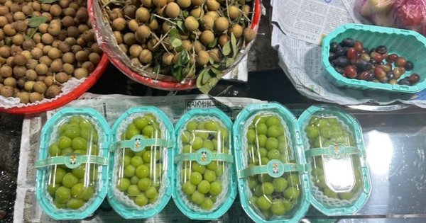 "Tam tai" của nho xanh ập đến đầu năm 2025, nhiều người hốt hoảng: Chuyện gì đã xảy ra thế?