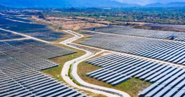 Vụ Trung Nam Thuận Nam làm EVN thiệt hại 1.000 tỷ: Ông Trần Tuấn Anh, Trịnh Đình Dũng ra sao?