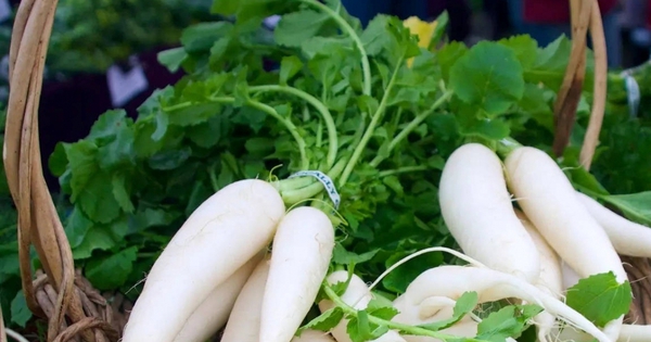 Củ cải có bộ phận "bổ dưỡng tựa nhân sâm", người Việt thường bỏ đi mà không hay