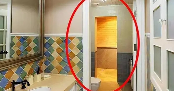 Luôn đóng cửa nhà vệ sinh khi không dùng, tôi hối hận vì 30 năm cuộc đời không biết cách này sớm hơn