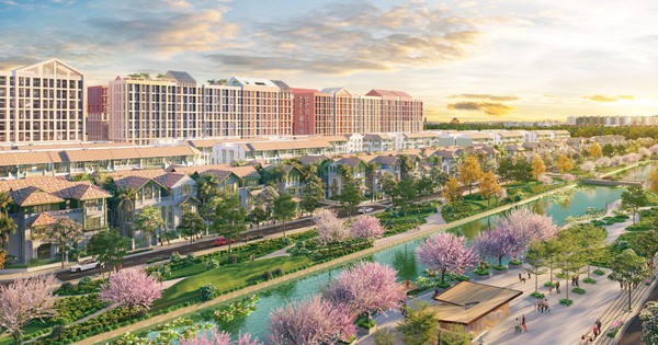 Cư dân Flora Avenue: Sống giữa sắc hoa, sống giữa cân bằng