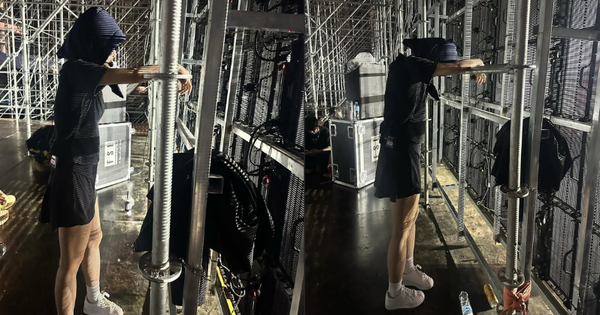 Tình trạng bất ổn của Miu Lê