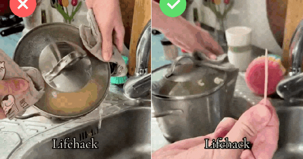 Đừng đùa với người IQ cao