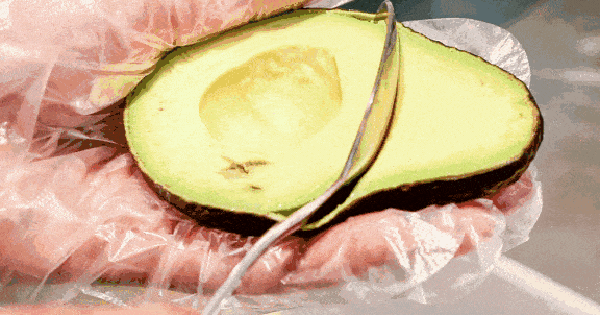 5 thực phẩm "siêu béo" nhưng giúp đốt mỡ