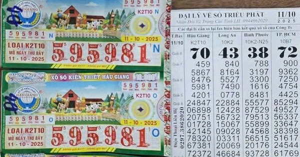 Xổ số miền Nam: 28 tờ vé số trúng độc đắc tại An Giang và Cà Mau