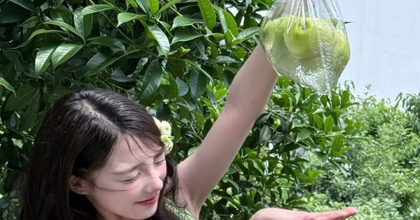 7 loại rau quả chị em nhất định phải ăn nếu muốn tăng sinh collagen, bảo vệ da dưới nắng