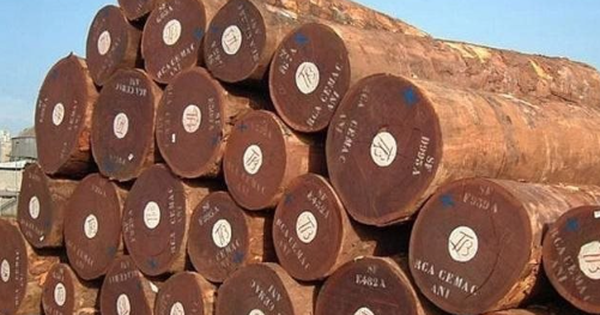 Việt Nam vừa vận hành nhà máy sản xuất 'vàng xanh' quy mô nhất thế giới: Là mặt hàng cả thế giới đều cần, quy mô thị trường hàng chục tỷ USD