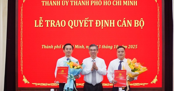 Ông Trần Thế Thông và ông Đinh Xuân Hải được bổ nhiệm làm Thư ký Bí thư Thành ủy TP HCM